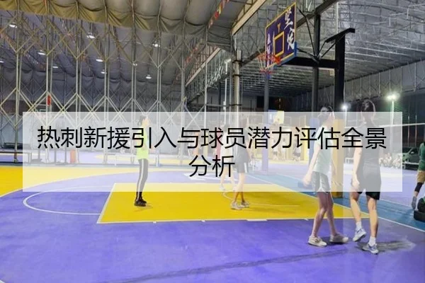 热刺新援引入与球员潜力评估全景分析